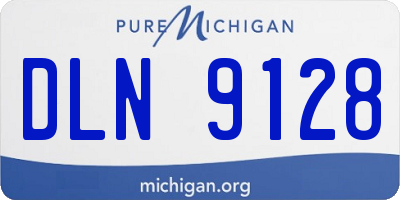 MI license plate DLN9128