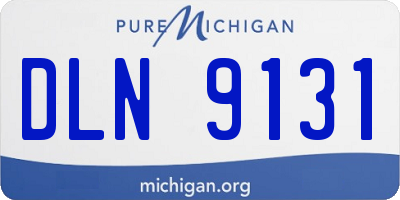 MI license plate DLN9131