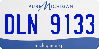 MI license plate DLN9133