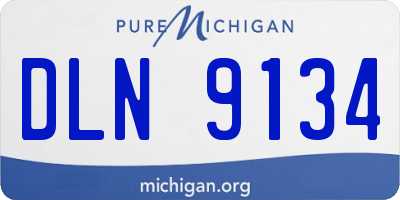 MI license plate DLN9134