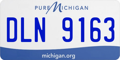 MI license plate DLN9163