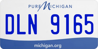 MI license plate DLN9165