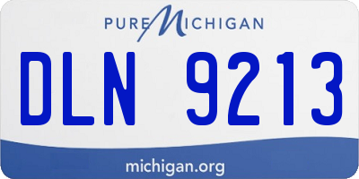 MI license plate DLN9213