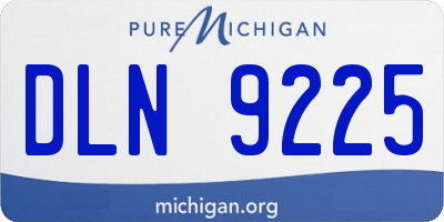 MI license plate DLN9225