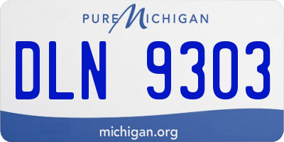 MI license plate DLN9303