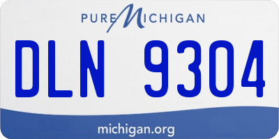 MI license plate DLN9304