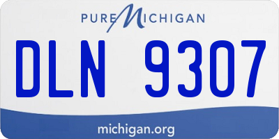 MI license plate DLN9307