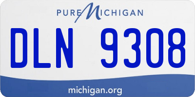 MI license plate DLN9308