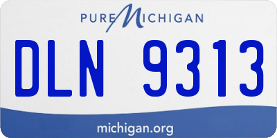 MI license plate DLN9313