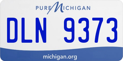 MI license plate DLN9373