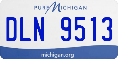 MI license plate DLN9513