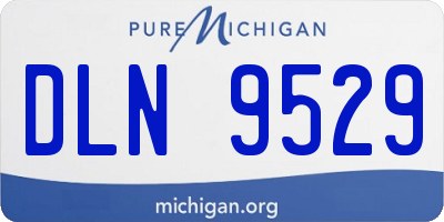 MI license plate DLN9529