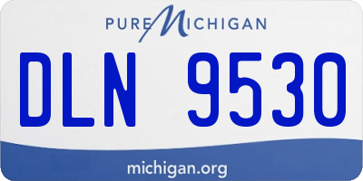 MI license plate DLN9530