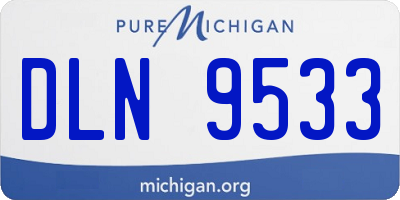 MI license plate DLN9533