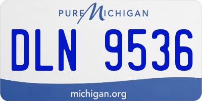 MI license plate DLN9536