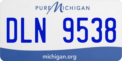 MI license plate DLN9538