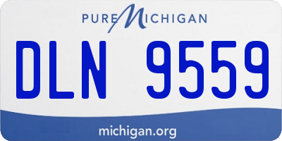 MI license plate DLN9559