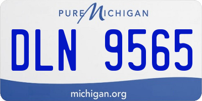 MI license plate DLN9565