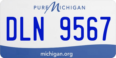 MI license plate DLN9567