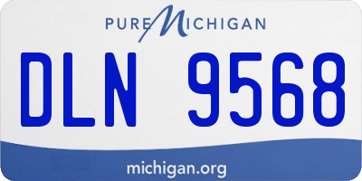 MI license plate DLN9568