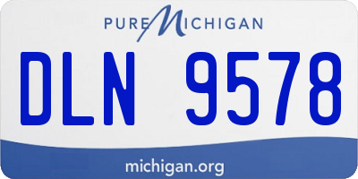 MI license plate DLN9578