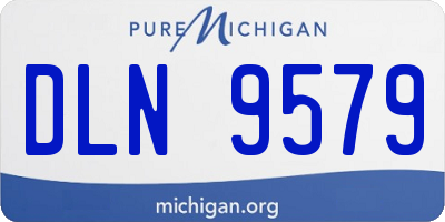 MI license plate DLN9579