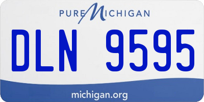 MI license plate DLN9595