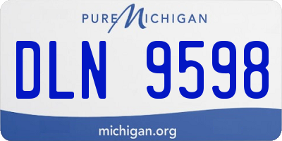 MI license plate DLN9598