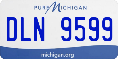 MI license plate DLN9599