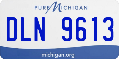 MI license plate DLN9613