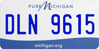 MI license plate DLN9615