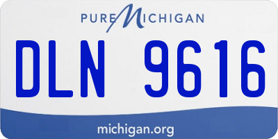 MI license plate DLN9616