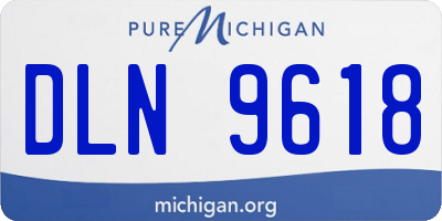 MI license plate DLN9618