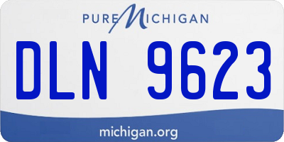 MI license plate DLN9623