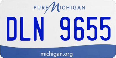 MI license plate DLN9655