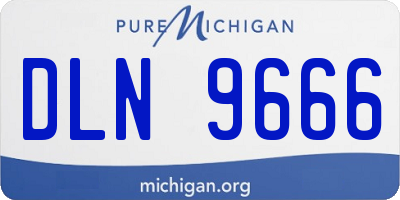 MI license plate DLN9666