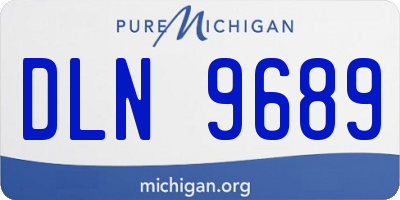 MI license plate DLN9689