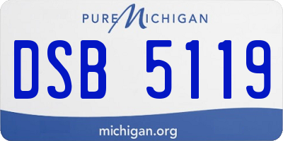 MI license plate DSB5119