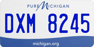 MI license plate DXM8245