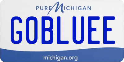 MI license plate G0BLUEE