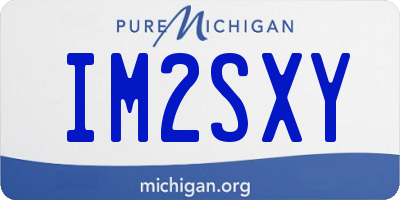 MI license plate IM2SXY