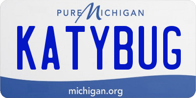 MI license plate KATYBUG