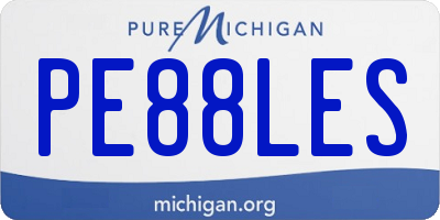 MI license plate PE88LES