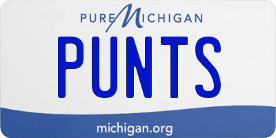 MI license plate PUNTS