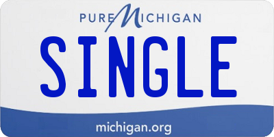 MI license plate SINGLE