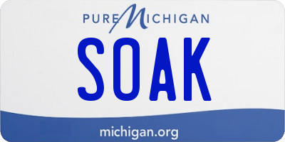MI license plate SOAK