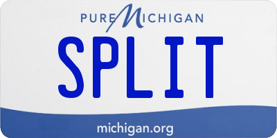 MI license plate SPLIT