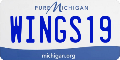 MI license plate WINGS19