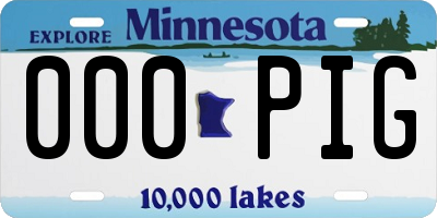 MN license plate 000PIG