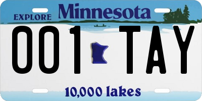 MN license plate 001TAY